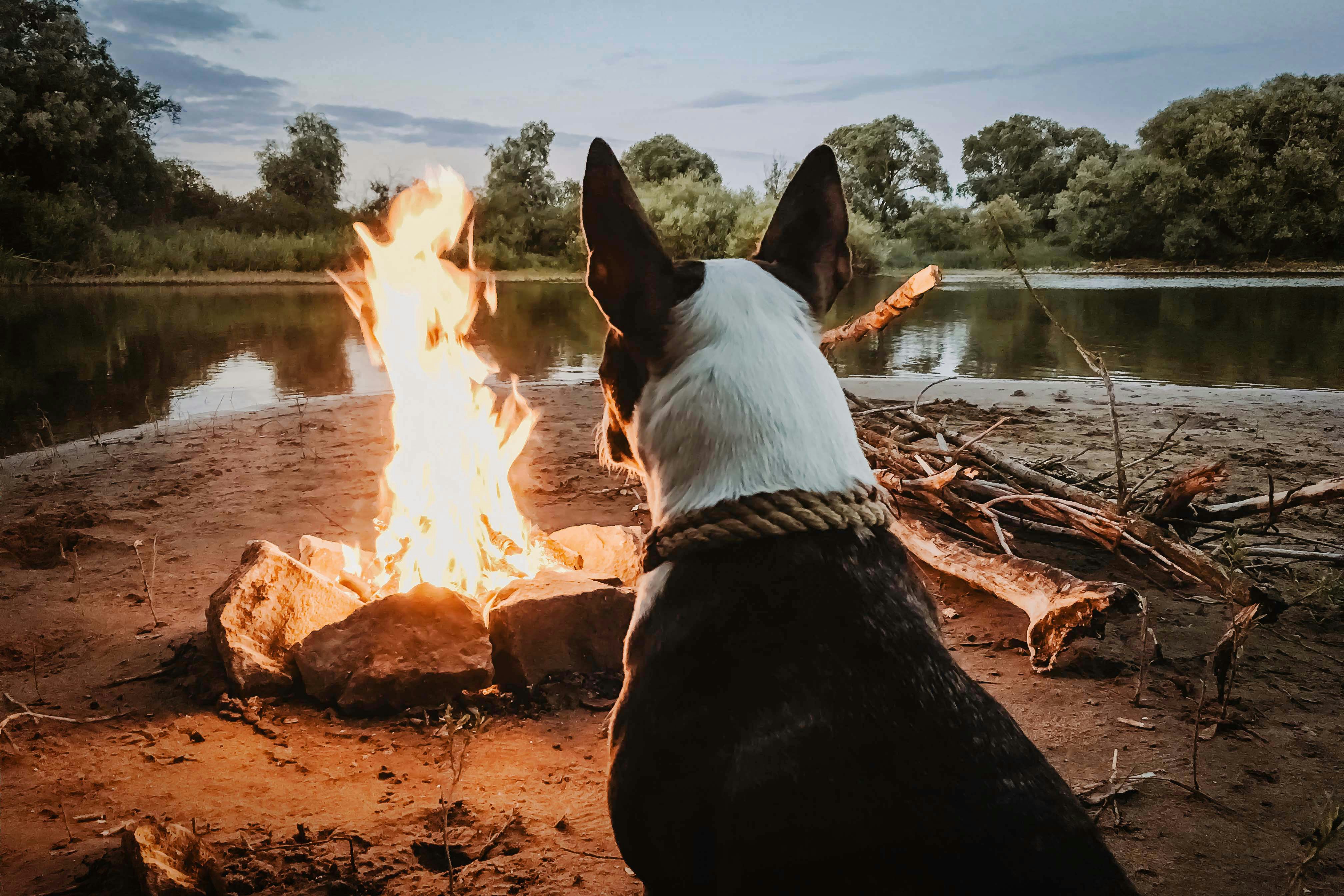 Psychology and Fire: Why Do We Find Fire So Calming?